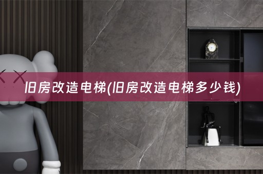 旧房改造电梯(旧房改造电梯多少钱)