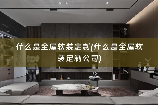 什么是全屋定制公司)