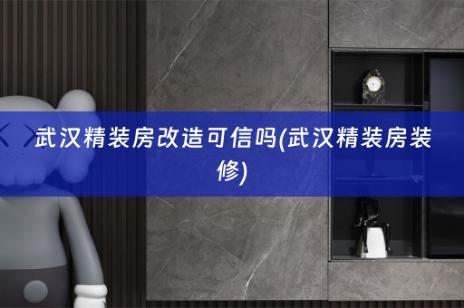 武汉精装房改造可信吗(武汉精装房装修)