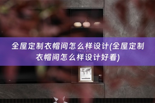 衣帽间怎么样设计好看)