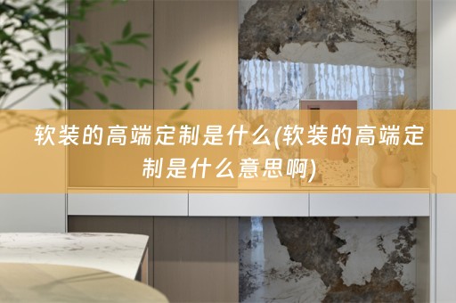 的高端定制是什么意思啊)