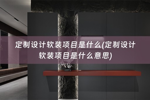 定制设计项目是什么意思)