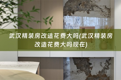 武汉精装房改造花费大吗(武汉精装房改造花费大吗现在)