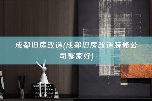 成都旧房改造(成都旧房改造装修公司哪家好)