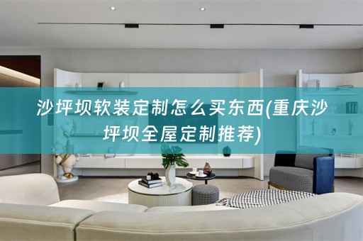 沙坪坝定制怎么买东西(重庆沙坪坝全屋定制推荐)