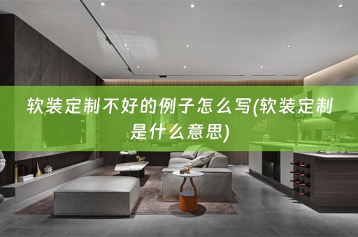 定制是什么意思)