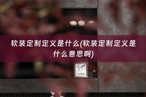 定制定义是什么意思啊)