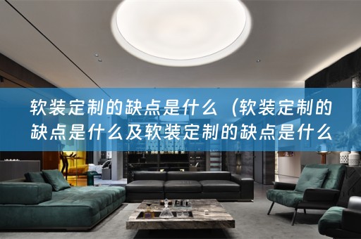 定制的缺点是什么呢）