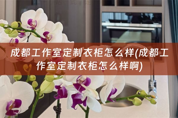 成都工作室定制衣柜怎么样(成都工作室定制衣柜怎么样啊)