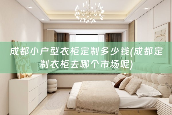 成都小户型衣柜定制多少钱(成都定制衣柜去哪个市场呢)