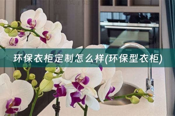 环保衣柜定制怎么样(环保型衣柜)