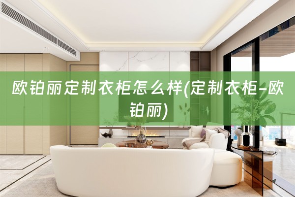 欧铂丽定制衣柜怎么样(定制衣柜-欧铂丽)