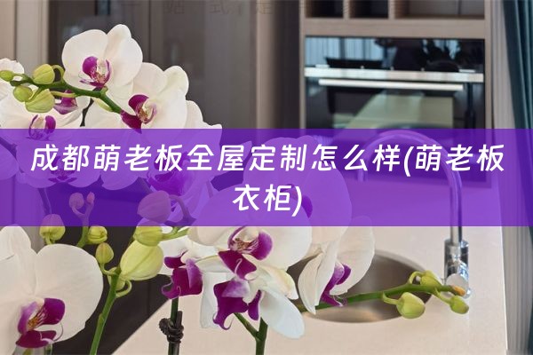 成都萌老板怎么样(萌老板衣柜)