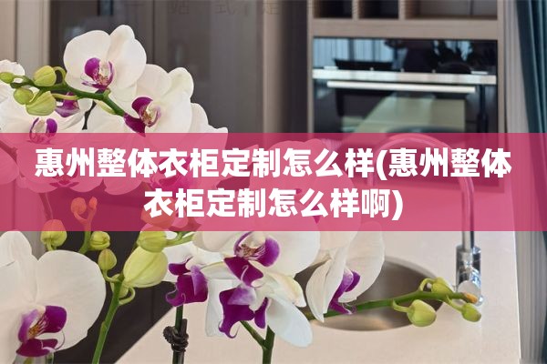 惠州整体衣柜定制怎么样(惠州整体衣柜定制怎么样啊)