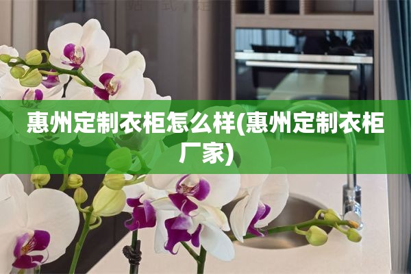 惠州定制衣柜怎么样(惠州定制衣柜厂家)