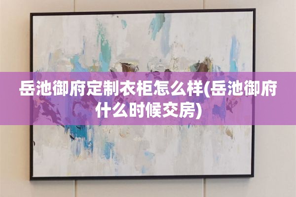 岳池御府定制衣柜怎么样(岳池御府什么时候交房)