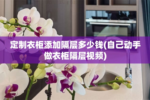 定制衣柜添加隔层多少钱(自己动手做衣柜隔层视频)