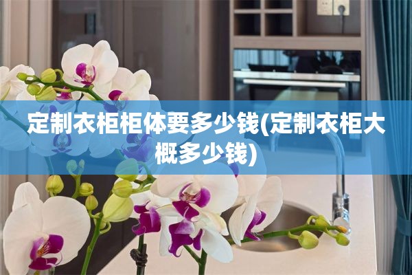 定制衣柜柜体要多少钱(定制衣柜大概多少钱)