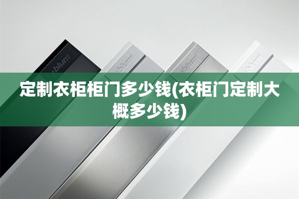 定制衣柜柜门多少钱(衣柜门定制大概多少钱)
