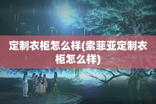 定制衣柜怎么样(索菲亚定制衣柜怎么样)