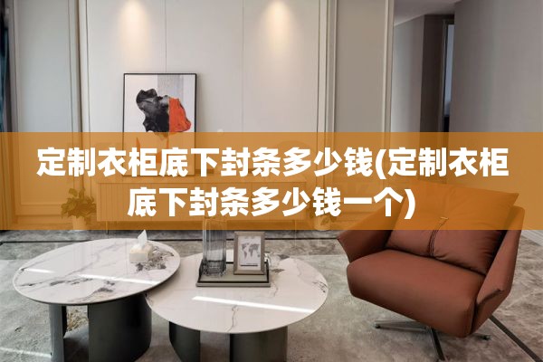 定制衣柜底下封条多少钱(定制衣柜底下封条多少钱一个)