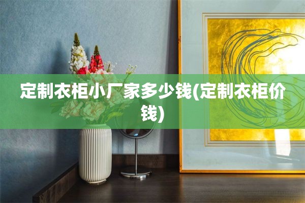 定制衣柜小厂家多少钱(定制衣柜价钱)
