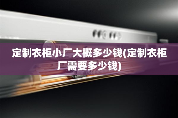 定制衣柜小厂大概多少钱(定制衣柜厂需要多少钱)