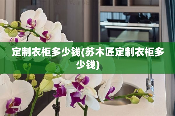 定制衣柜多少钱(苏木匠定制衣柜多少钱)