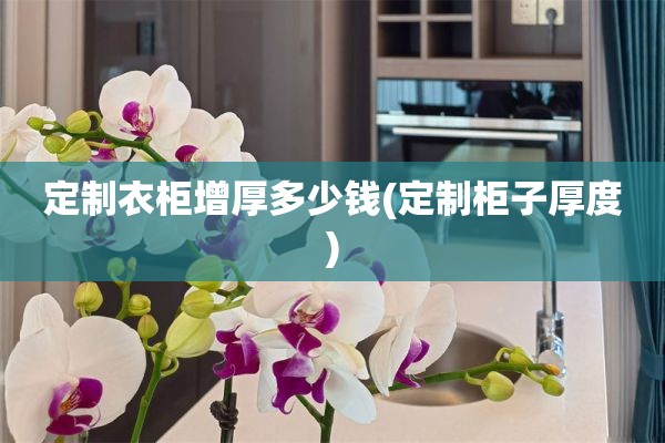 定制衣柜增厚多少钱(定制柜子厚度)