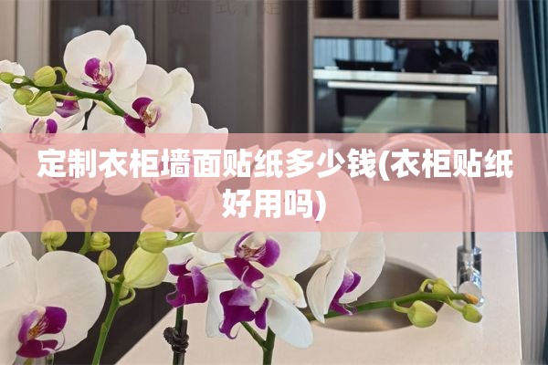 定制衣柜墙面贴纸多少钱(衣柜贴纸好用吗)