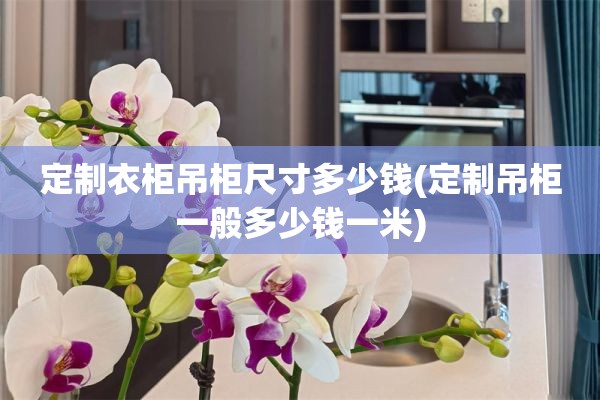 定制衣柜吊柜尺寸多少钱(定制吊柜一般多少钱一米)