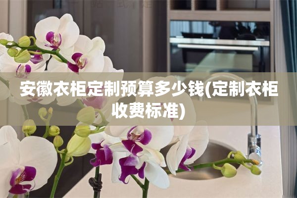 安徽衣柜定制预算多少钱(定制衣柜收费标准)