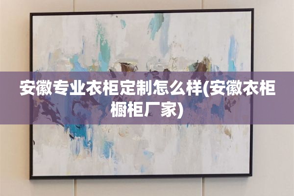 安徽专业衣柜定制怎么样(安徽衣柜橱柜厂家)