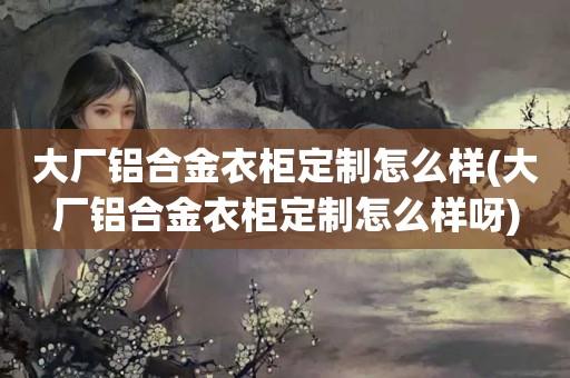 大厂铝合金衣柜定制怎么样(大厂铝合金衣柜定制怎么样呀)