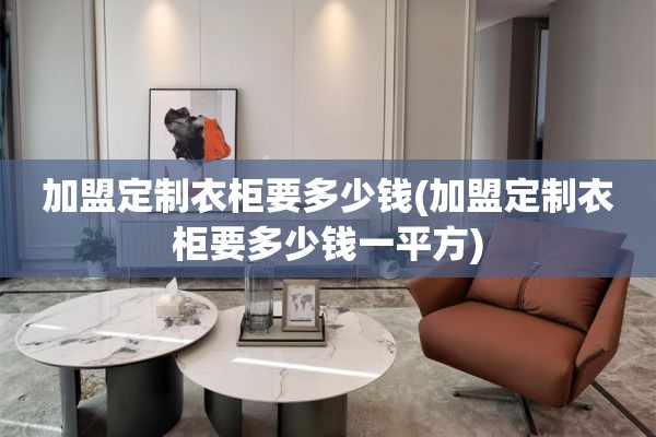 加盟定制衣柜要多少钱(加盟定制衣柜要多少钱一平方)