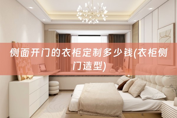 侧面开门的衣柜定制多少钱(衣柜侧门造型)