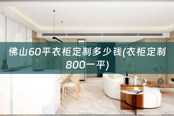 佛山60平衣柜定制多少钱(衣柜定制800一平)