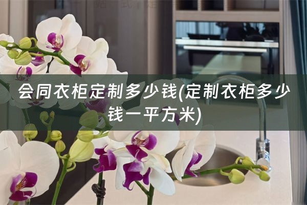 会同衣柜定制多少钱(定制衣柜多少钱一平方米)