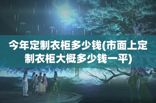 今年定制衣柜多少钱(市面上定制衣柜大概多少钱一平)