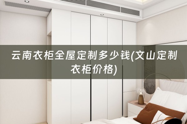 云南衣柜多少钱(文山定制衣柜价格)