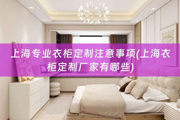 上海专业衣柜定制注意事项(上海衣柜定制厂家有哪些)