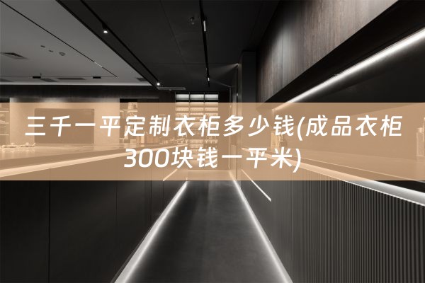 三千一平定制衣柜多少钱(成品衣柜300块钱一平米)