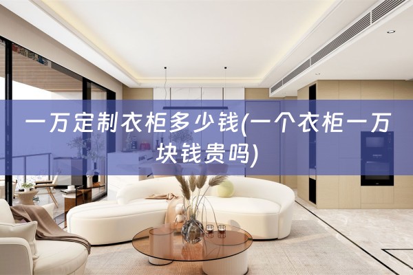 一万定制衣柜多少钱(一个衣柜一万块钱贵吗)