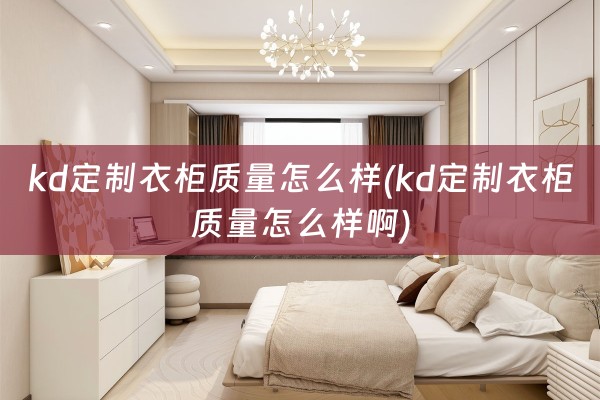 kd定制衣柜质量怎么样(kd定制衣柜质量怎么样啊)