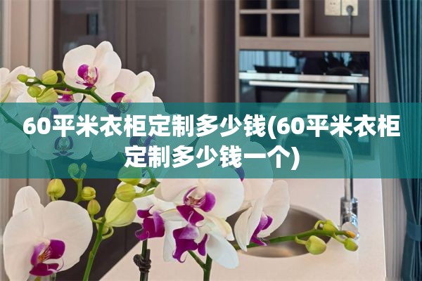 60平米衣柜定制多少钱(60平米衣柜定制多少钱一个)