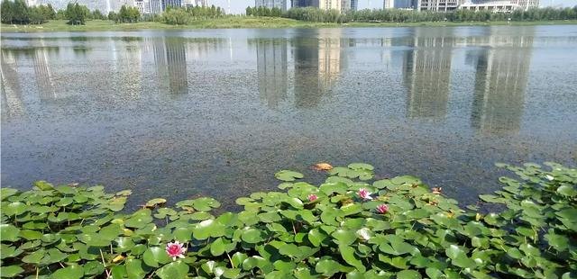 黄色旧房改造卧室(黄色旧房改造卧室好吗)